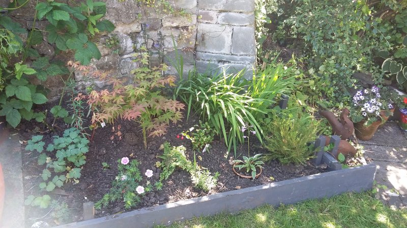 2017-06-13 15.20.18.jpg