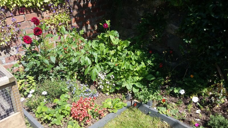 2017-06-13 15.20.28.jpg