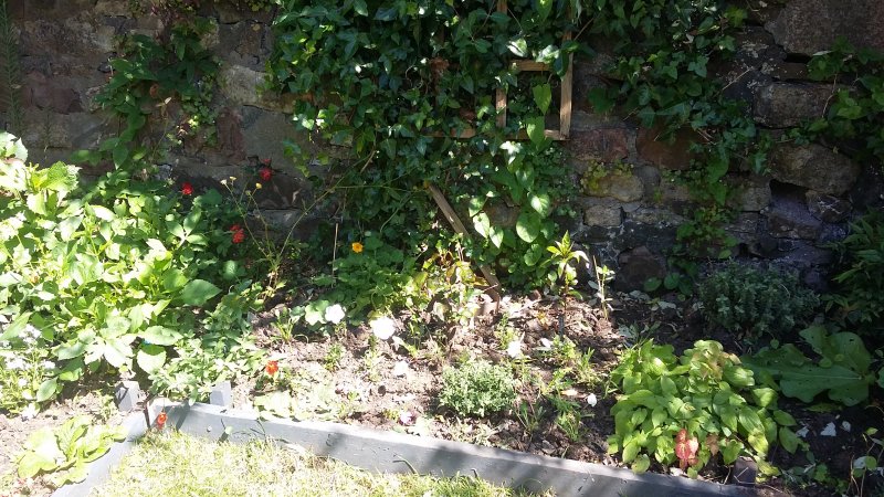 2017-06-13 15.20.32.jpg