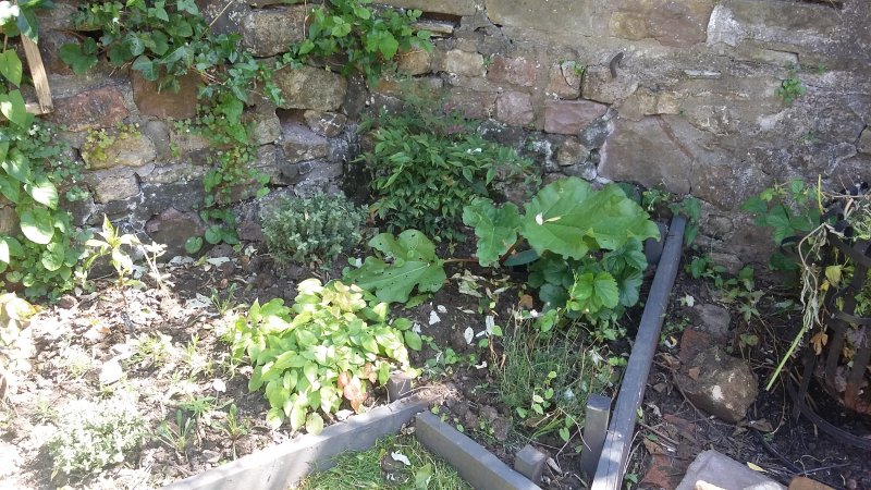 2017-06-13 15.20.37.jpg