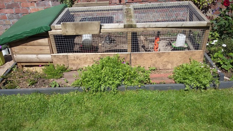 2017-06-13 15.20.46.jpg