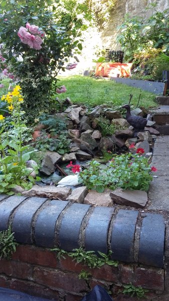 2017-06-13 17.49.25.jpg