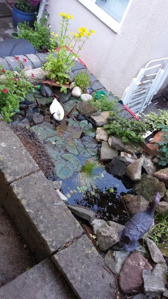 2017-06-13 17.49.35.jpg