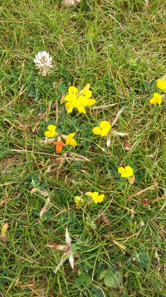 2017-06-22 09.42.56.jpg