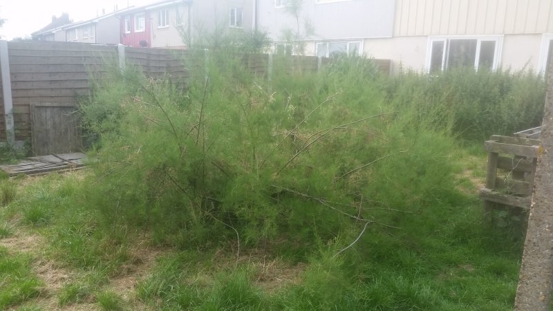 2017-07-06 09.29.08.jpg