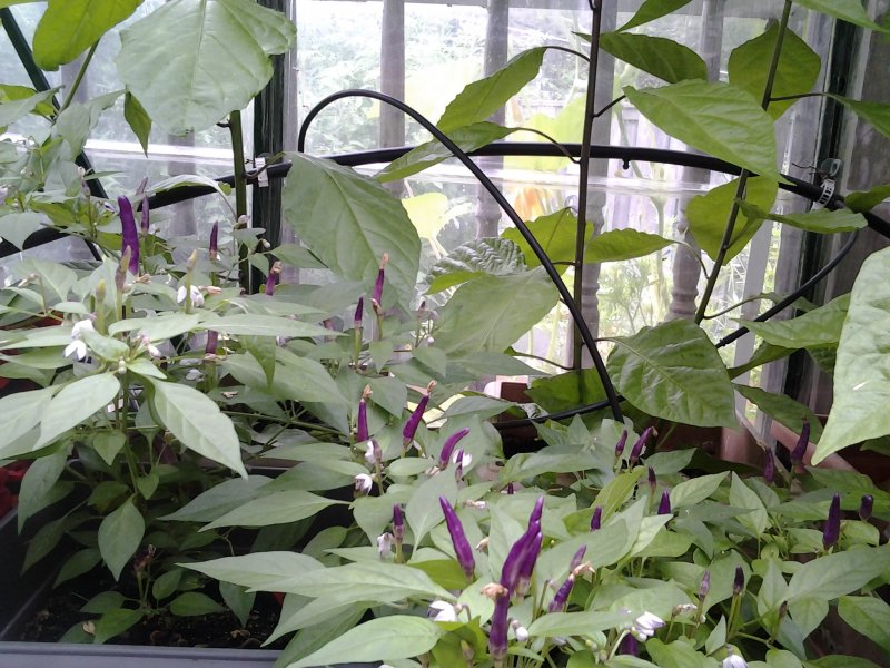 2017-07-22 17.44.32.jpg