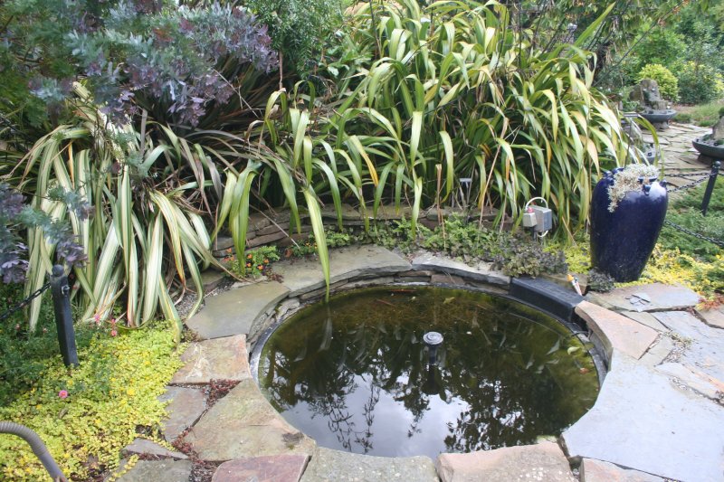 2017-07-22 21.07.20.jpg