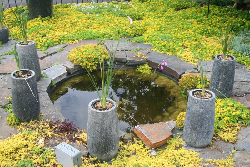 2017-07-22 21.14.30.jpg