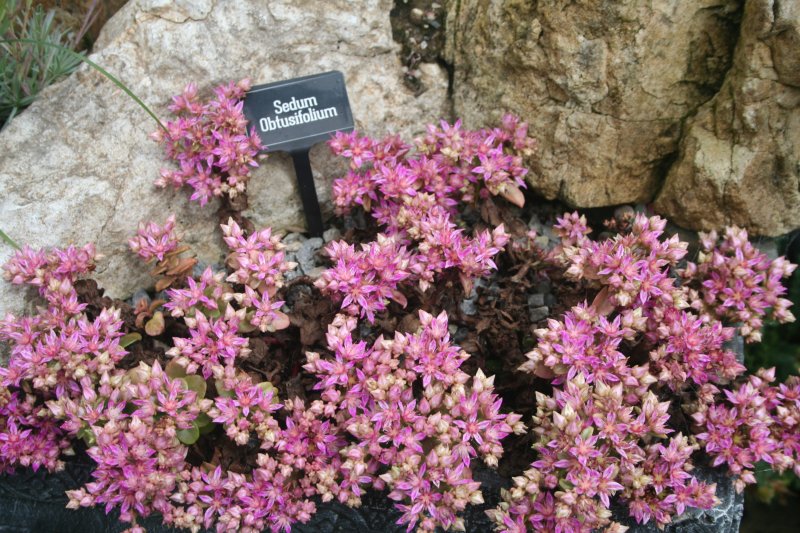 2017-07-22 21.28.16.jpg