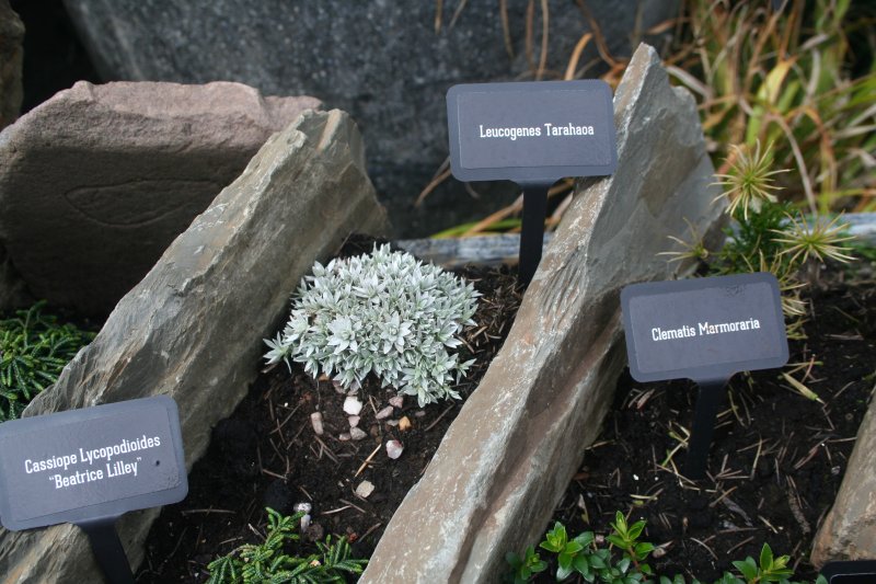 2017-07-22 21.28.32.jpg