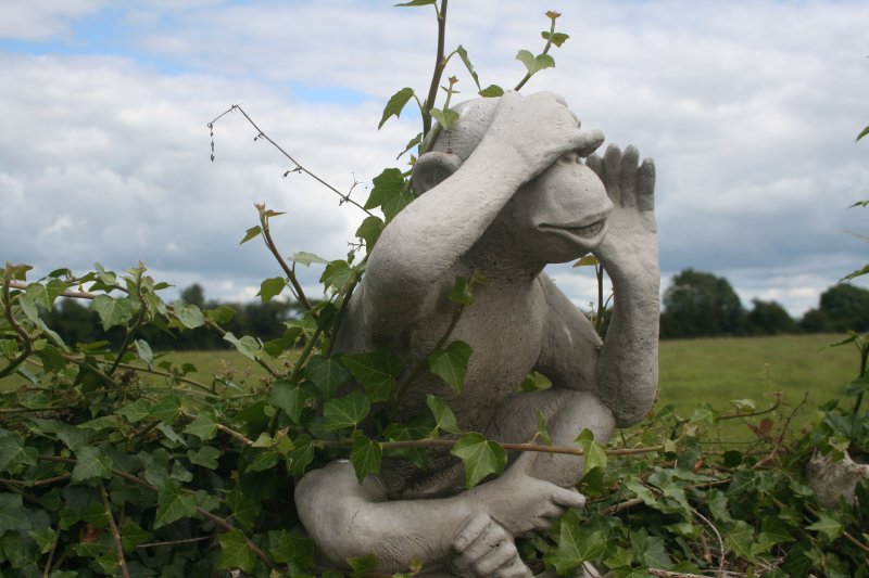 2017-07-22 21.32.24.jpg