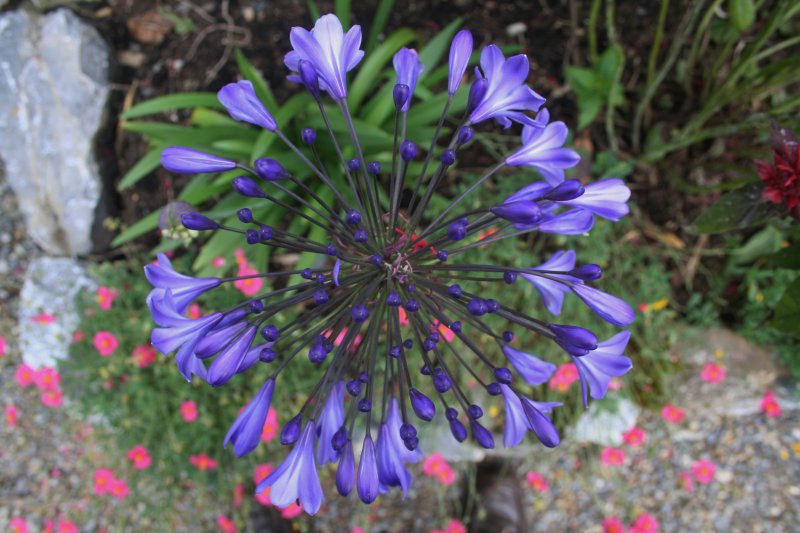 2017-07-22 21.32.35.jpg