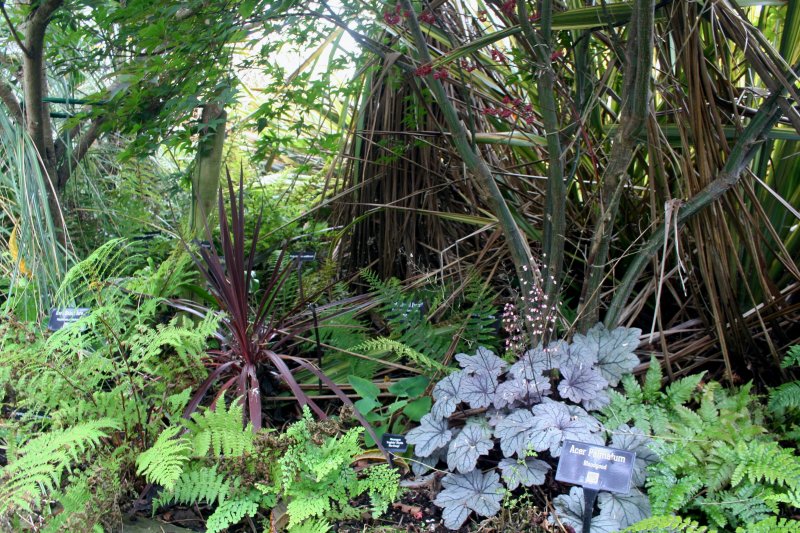 2017-07-22 21.34.25.jpg