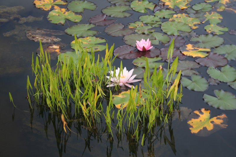 2017-07-22 21.39.22.jpg