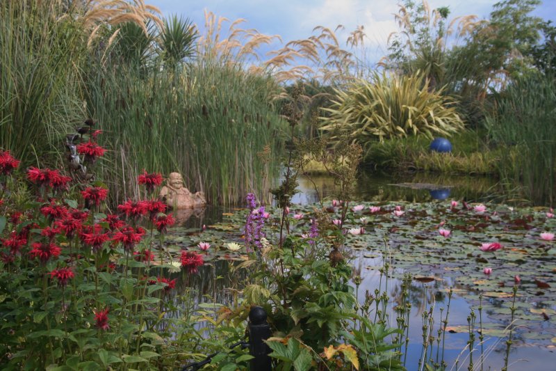 2017-07-22 21.44.32.jpg