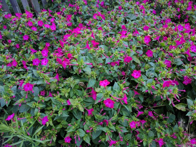 2017-08-07 20.06.18.jpg