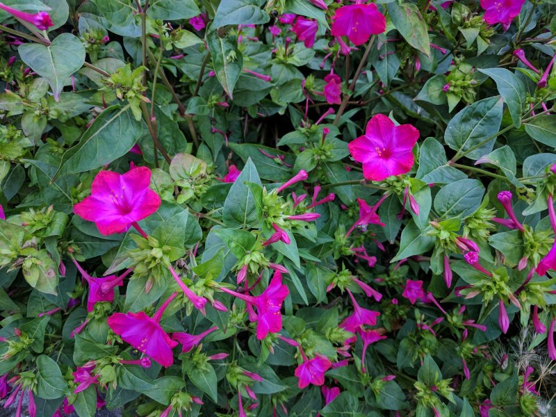 2017-08-07 20.06.28.jpg