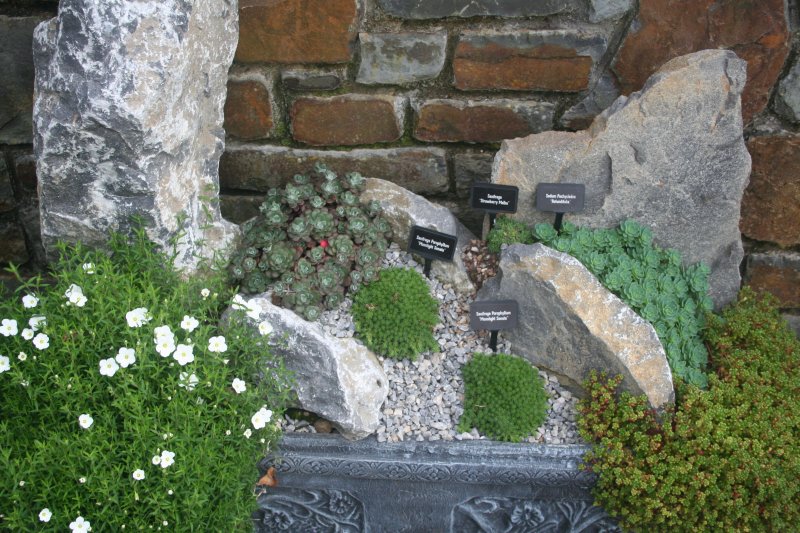 2017-08-28 14.55.12.jpg