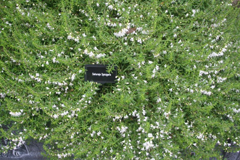 2017-08-28 14.55.25.jpg