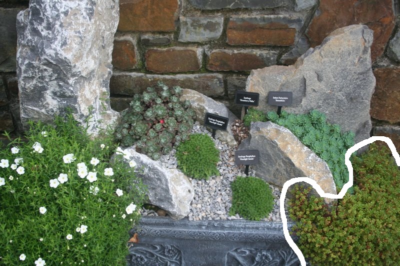 2017-08-28 14_55_12.jpg