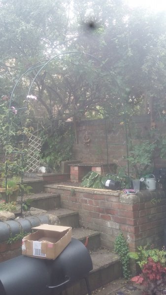 2017-09-02 18.45.04.jpg