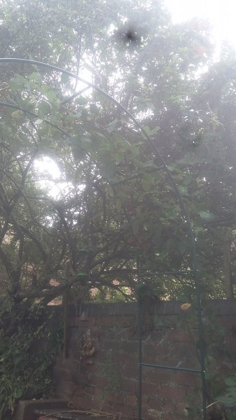 2017-09-02 18.45.12.jpg