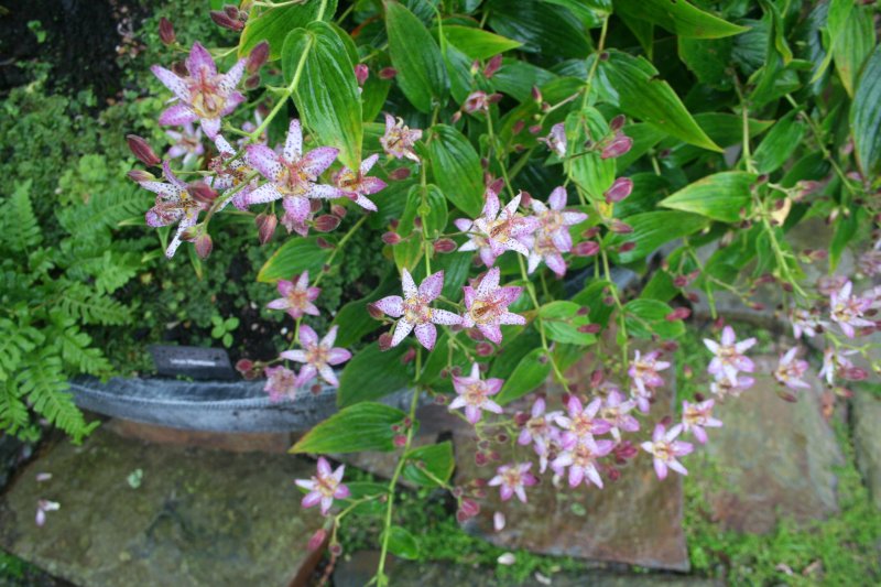 2017-09-12 22.07.28.jpg