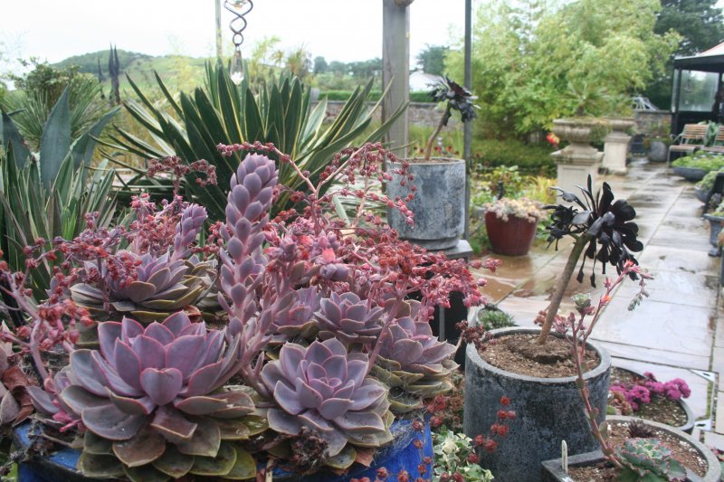 2017-09-12 22.14.41.jpg