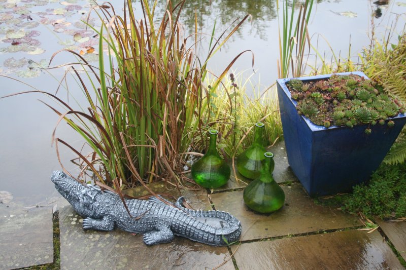 2017-09-12 22.16.29.jpg