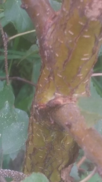 2017-10-06 15.11.27.jpg