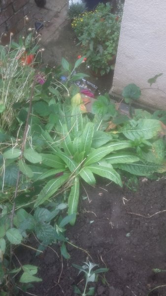 2017-10-22 15.11.58.jpg