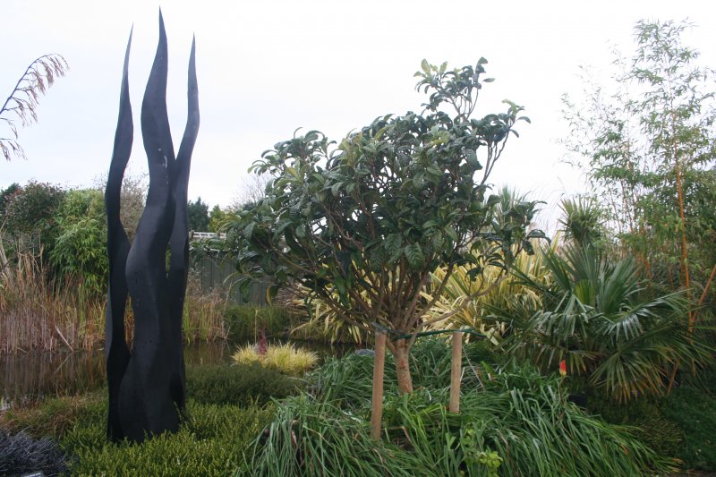 2017-10-24 20.15.53.jpg