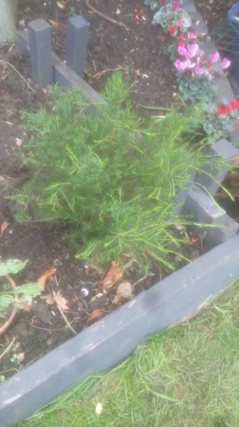 2017-11-05 13.57.46.jpg