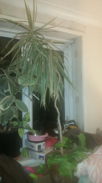 2017-11-14 19.26.42.jpg