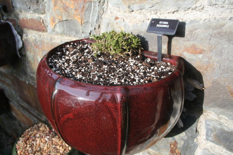 2017-11-15 20.20.01.jpg