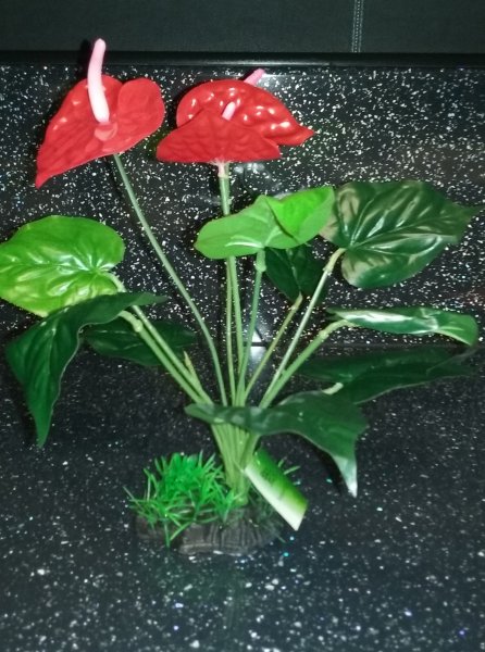 20171223_145928 (2).jpg