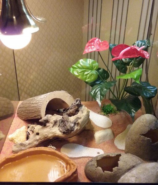 20171223_150619 (2).jpg