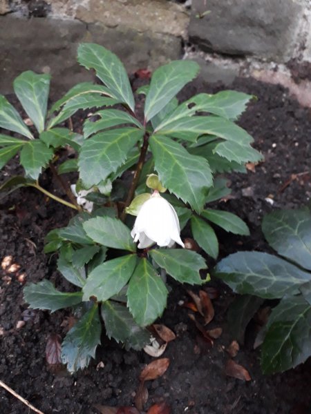 2018-01-15 16.28.00.jpg