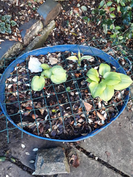 2018-01-19 11.09.16.jpg