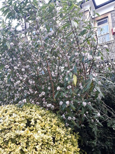 2018-01-19 13.05.38.jpg