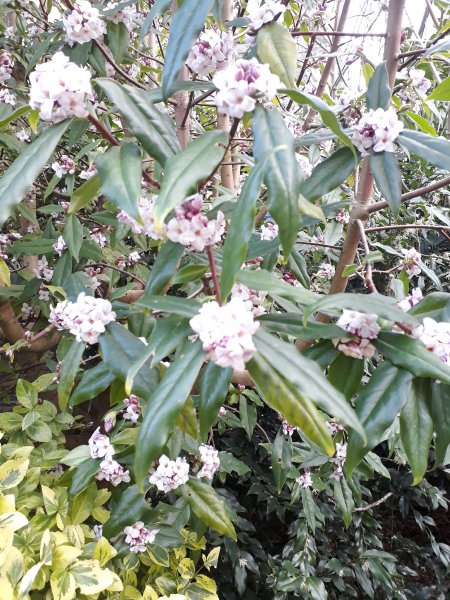 2018-01-19 13.05.44-1.jpg