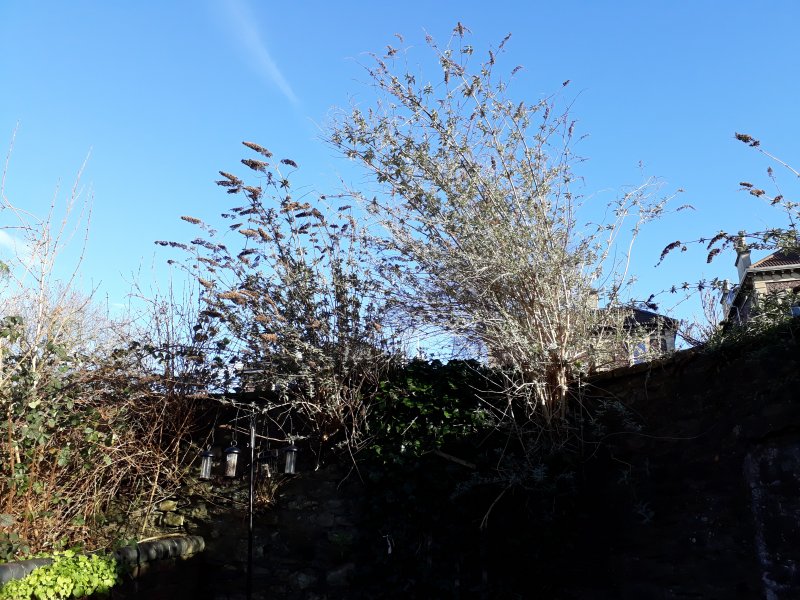 2018-02-17 15.19.14.jpg