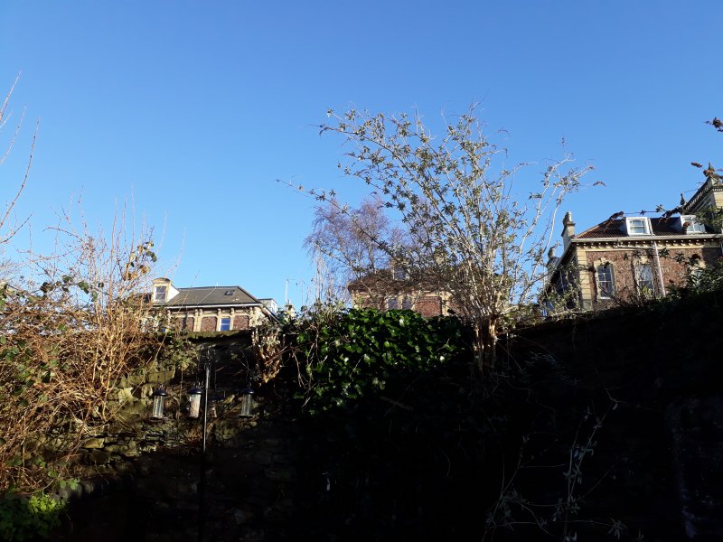 2018-02-17 15.45.32.jpg