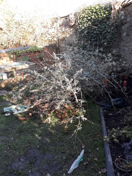 2018-02-17 15.45.43.jpg