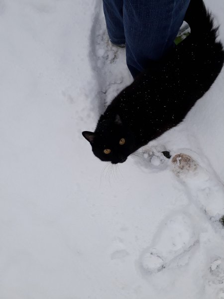 2018-03-18 10.05.03.jpg