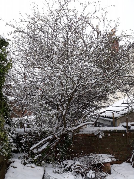 2018-03-18 10.06.03.jpg