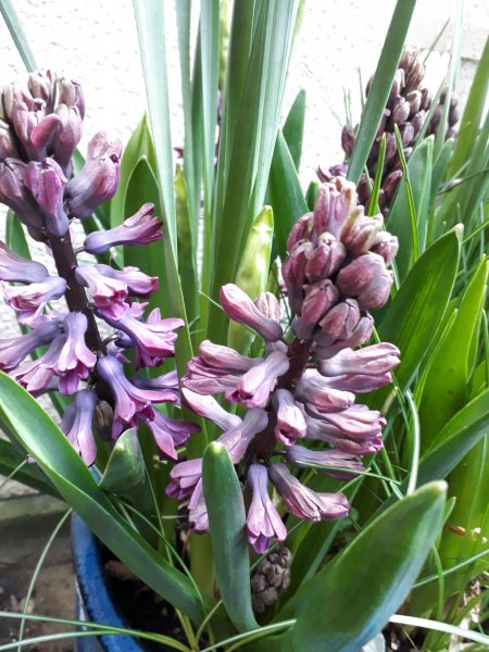 2018-03-25 17.37.28.jpg