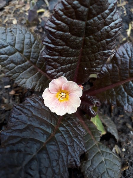 2018-04-16 15.48.16.jpg