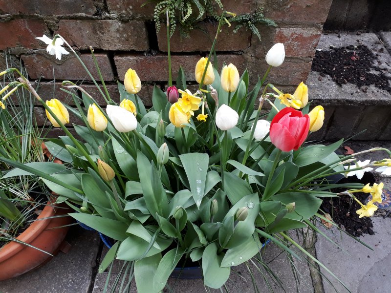 2018-04-16 15.54.51.jpg