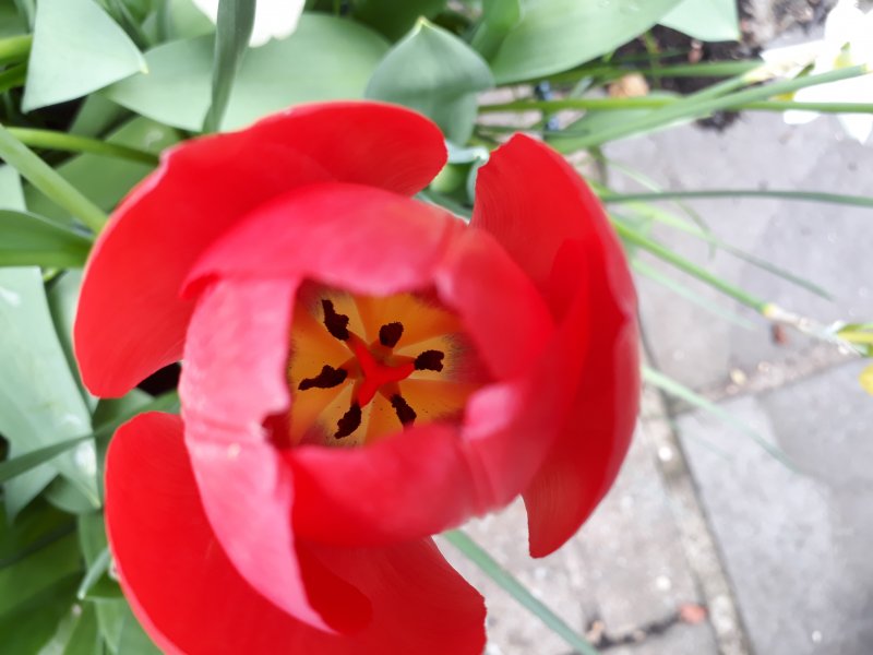 2018-04-16 15.55.19.jpg